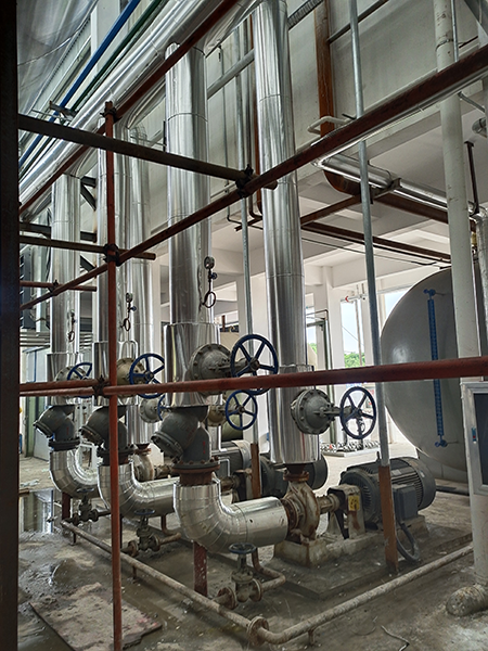 YLW生物質(zhì)、煤鏈排兩用爐